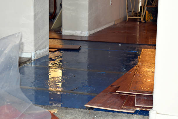 Professional Burst Pipe Cleanup technician working in Trafalgar, IN